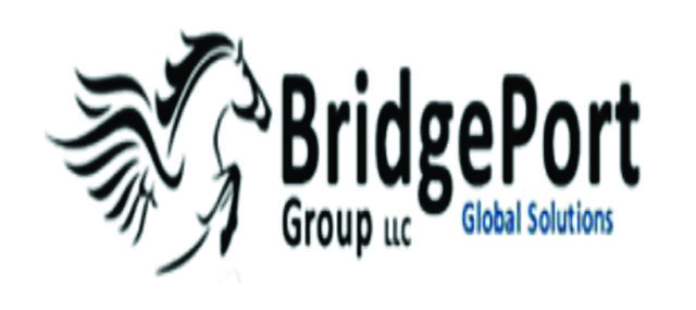 BRIDGEPORT GROUP LLC